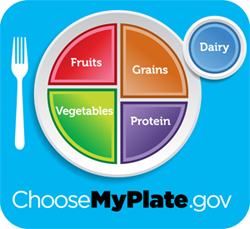 plate showing a healthy nutrition
