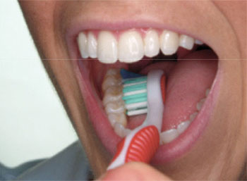 Brush the inner tooth surfaces