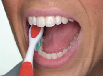 Brush the chewing surfaces